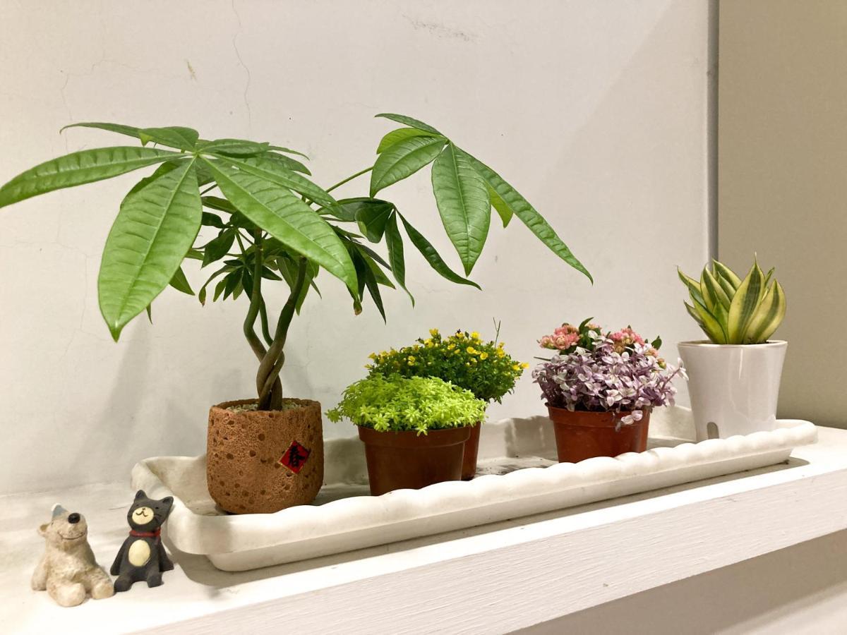 4Plus Hostel Taipei Eksteriør bilde